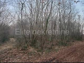 Agricultural plot, Sale, Barban, Barban