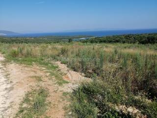 Agricultural plot, Sale, Marčana, Pavićini