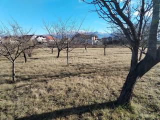Plot for construction, Sale, Sinj, Sinj