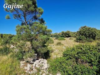 Construction plot for tourism, Sale, Vir, Vir