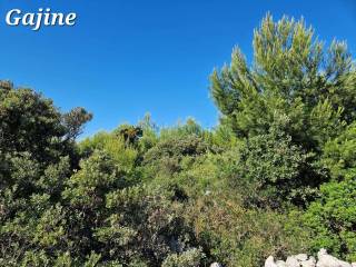 Construction plot for tourism, Sale, Vir, Vir