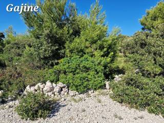 Construction plot for tourism, Sale, Vir, Vir
