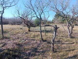 Plot for construction, Sale, Privlaka, Privlaka