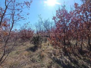 Agricultural plot, Sale, Vodnjan, Gajana