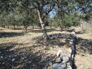 Agricultural plot, Sale, Kaštela, Kaštel Štafilić