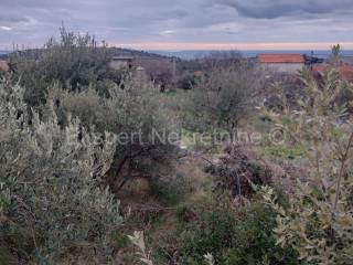 Plot for construction, Sale, Marina, Sevid