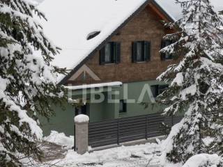 Luxury villa, Sale, Skrad, Hlevci