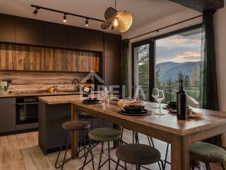 Luxury villa, Sale, Skrad, Hlevci
