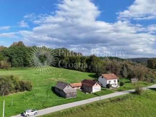 Family house, Sale, Krnjak, Krnjak