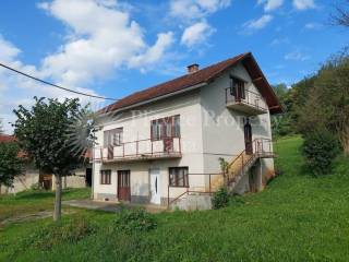 Family house, Sale, Krnjak, Krnjak
