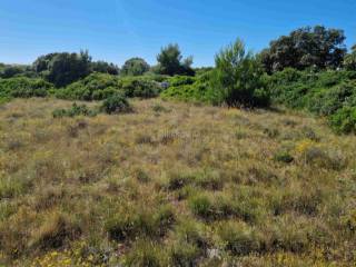 Plot for construction of mixed-use property, Sale, Vir, Vir