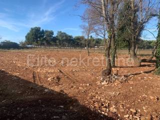 Agricultural plot, Sale, Pula, Pula
