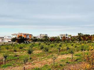 Plot for construction, Sale, Vodnjan, Vodnjan
