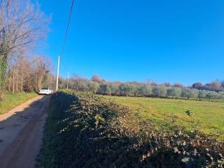 Construction plot for tourism, Sale, Tar-Vabriga, Vabriga