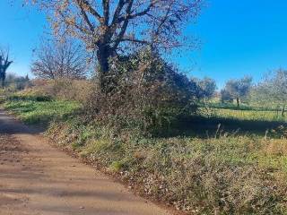 Construction plot for tourism, Sale, Tar-Vabriga, Vabriga