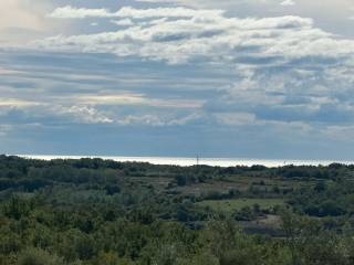 Plot for construction, Sale, Buje, Buje