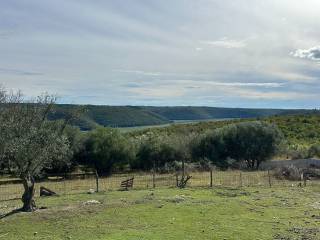 Plot for construction, Sale, Buje, Buje
