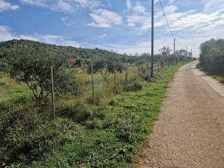 Plot for construction, Sale, Polača, Donja Jagodnja