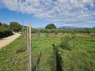 Plot for construction, Sale, Polača, Donja Jagodnja