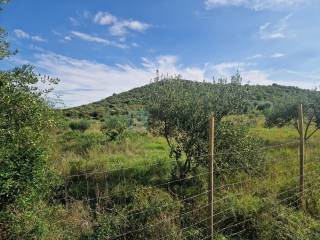 Plot for construction, Sale, Polača, Donja Jagodnja