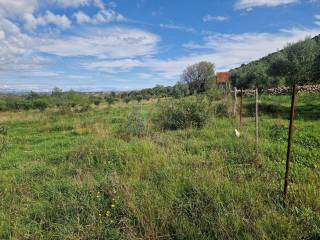 Plot for construction, Sale, Polača, Donja Jagodnja