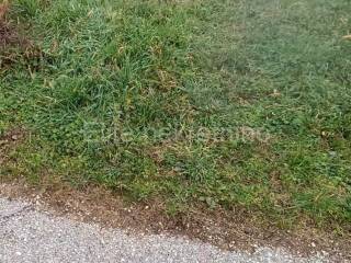 Agricultural plot, Sale, Vodnjan, Vodnjan