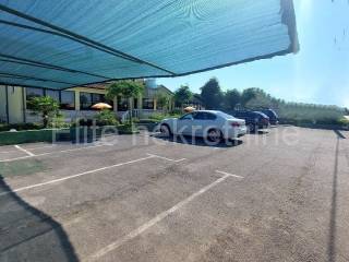 Pansion, Sale, Umag, Umag
