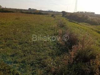 Agricultural plot, Sale, Sveti Filip i Jakov, Donje Raštane