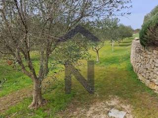 One-storey house, Sale, Zadar, Zadar