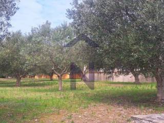One-storey house, Sale, Zadar, Zadar