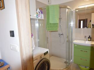 House with apartments, Sale, Tar-Vabriga, Vabriga