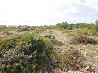Agricultural plot, Sale, Vir, Vir