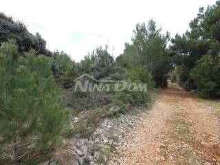 Agricultural plot, Sale, Vir, Vir