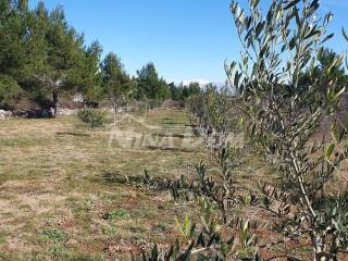 Agricultural plot, Sale, Vir, Vir