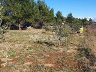Agricultural plot, Sale, Vir, Vir