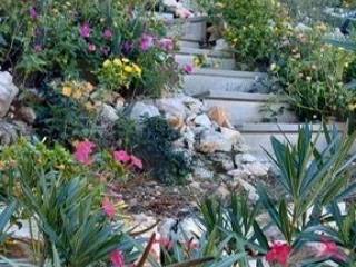 Detached house, Sale, Rovinj, Rovinj