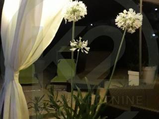 Detached house, Sale, Rovinj, Rovinj
