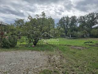Buzet, Buzet