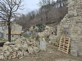 Buzet, Hum