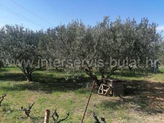 Poljoprivredno zemljište, Prodaja, Šibenik - Okolica, Donje Polje