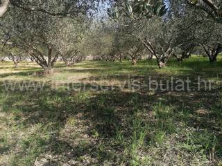 Poljoprivredno zemljište, Prodaja, Šibenik - Okolica, Donje Polje