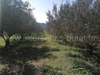 Poljoprivredno zemljište, Prodaja, Šibenik - Okolica, Donje Polje