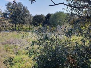 Plot for construction, Sale, Vir, Vir