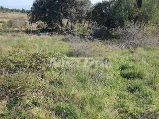Plot for construction, Sale, Vir, Vir