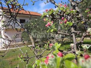 Family house, Sale, Vir, Vir