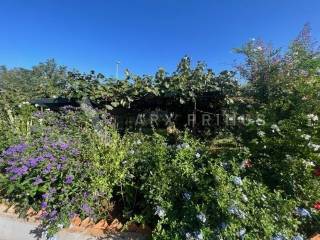 Family house, Sale, Umag, Finida