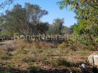 Agricultural plot, Sale, Preko, Ugljan