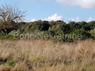 Building land, Sale, Preko, Ugljan