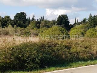 Agricultural land, Sale, Preko, Ugljan