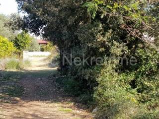 Agricultural land, Sale, Preko, Ugljan